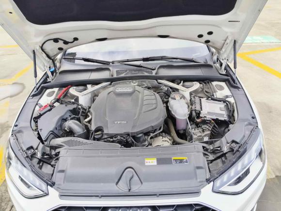 [广州·粤E] 二手奥迪奥迪A4L2022款 40 TFSI 时尚动感型