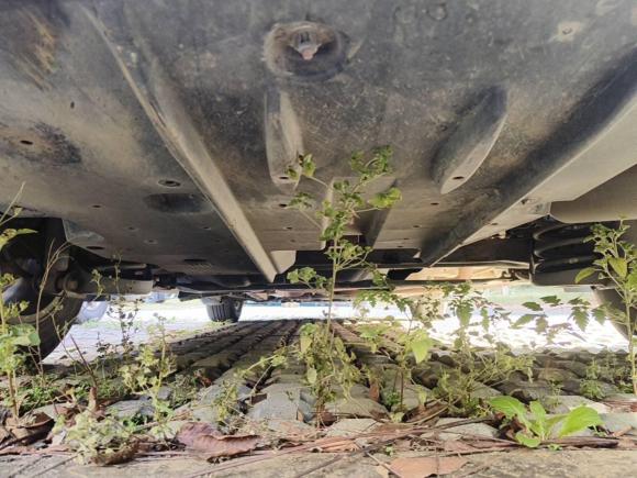 [武汉·鄂W] 二手丰田雷凌2016款 1.6G-L CVT领先版