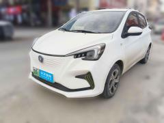 [济南·鲁A]长安&nbsp;&nbsp;长安奔奔E-Star&nbsp;&nbsp;2022款 清心版 多彩款 磷酸铁锂