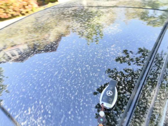 [青岛·鲁B] 二手奔驰奔驰S级2014款 S 400 L 尊贵型