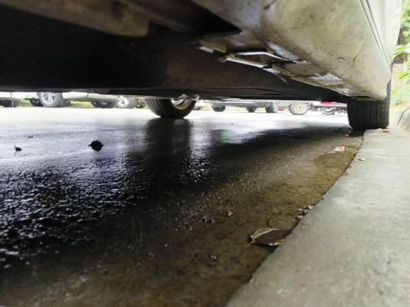 [成都·川E] 二手本田雅阁2022款 260TURBO 豪华版