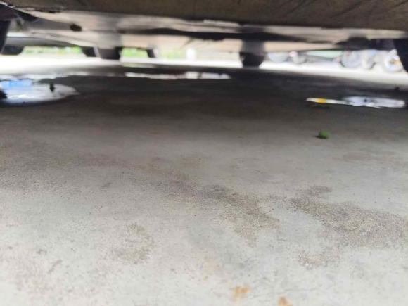 [杭州·浙A] 二手特斯拉Model 32022款 后轮驱动版