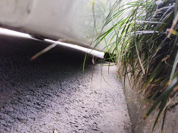 [上海·豫F] 二手宝马宝马5系2004款 525i