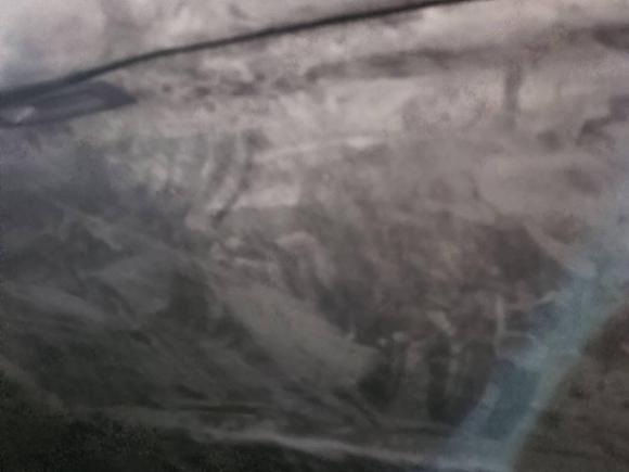 [上海·沪F] 二手坦克坦克3002021款 越野版 2.0T 挑战者