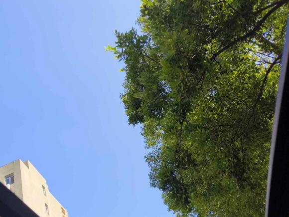 [上海·沪N] 二手宝马宝马3系2020款 325Li M运动套装