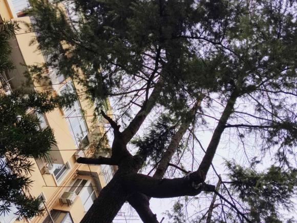 [上海·沪B] 二手奥迪奥迪A4L2022款 40 TFSI 时尚动感型