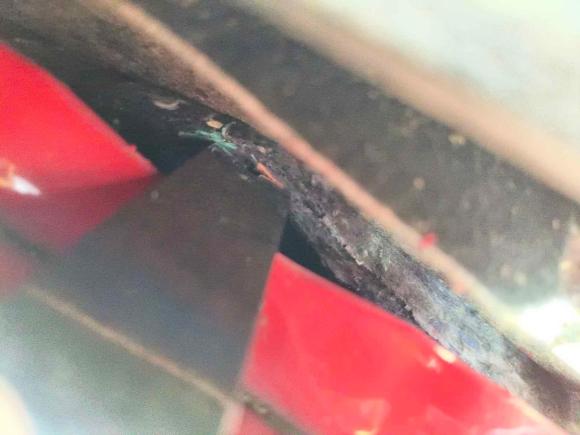 [武汉·鄂A] 二手大众Polo2013款 1.4L 自动舒适版