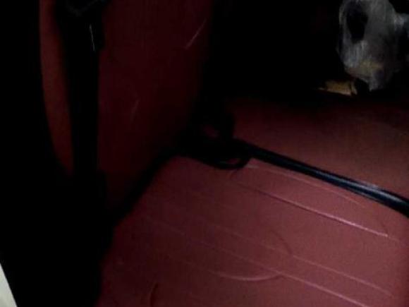 [台州·浙J] 二手长安长安CS75PLUS2020款 1.5T 自动尊贵型