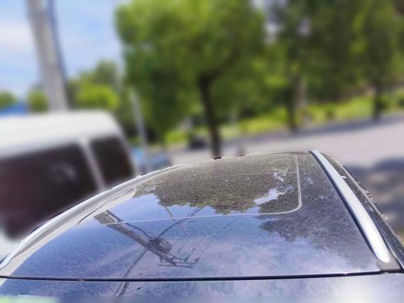 [上海·沪C] 二手林肯林肯MKC2016款 2.0T 两驱尊雅版