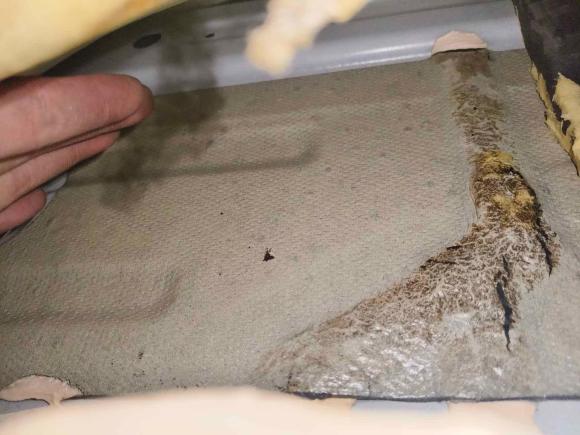 [广州·粤E] 二手雪佛兰科鲁泽2020款 轻混 RS 330T 自动痛快版