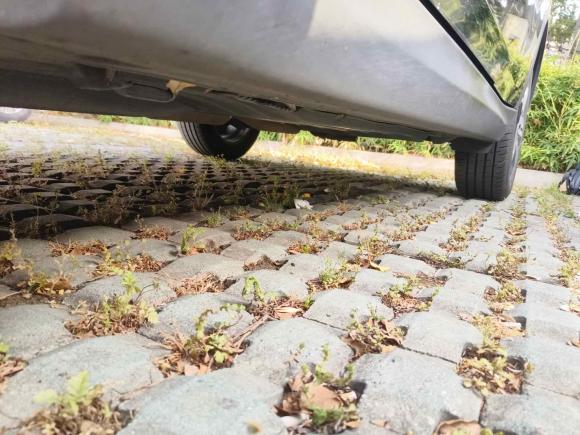 [苏州·苏E] 二手铃木维特拉2016款 1.4T 自动四驱旗舰型