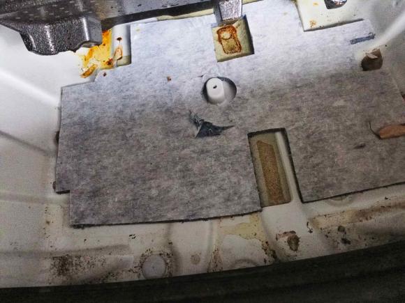 [南昌·赣A] 二手比亚迪秦PLUS2021款 EV 500KM 豪华型