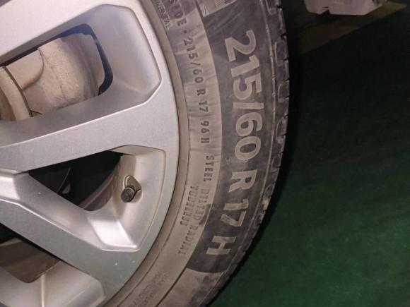 [武汉·鄂A] 二手雷诺科雷嘉2016款 2.0L 两驱领先版