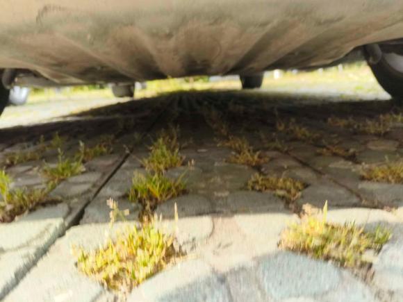 [嘉兴·浙F] 二手宝马宝马5系2019款 改款 525Li 豪华套装