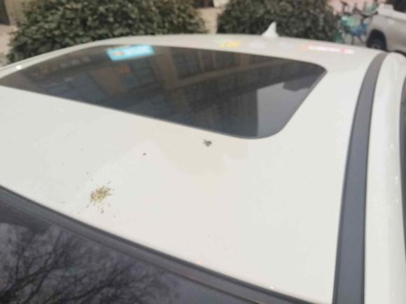 [西安·陕A] 二手雪佛兰科鲁兹2013款 1.8L SE AT