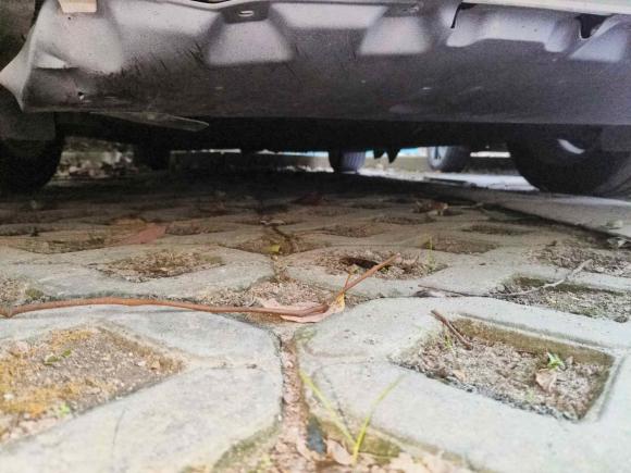 [上海·川J] 二手红旗红旗H52019款 30TD 型动版