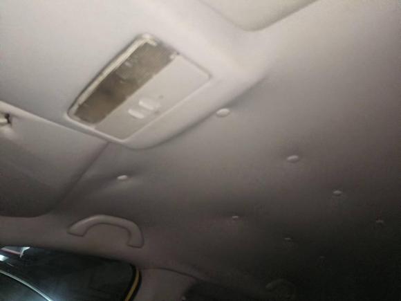 [杭州·浙D] 二手大众Polo2011款 1.6L 自动致尚版