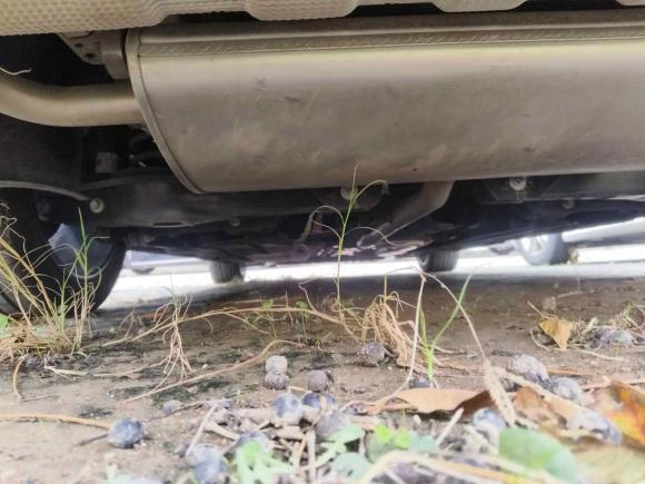 [宁波·浙B] 二手吉利汽车星瑞2024款 油混 1.5TD 星河版