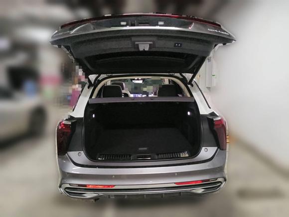 [武汉·鄂A] 二手红旗红旗E-HS92021款 510km 旗领版 四座