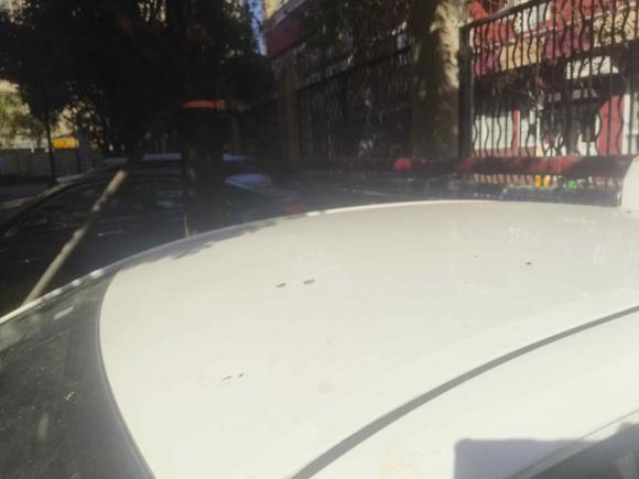 [深圳·粤L] 二手丰田卡罗拉2014款 1.6L CVT GL