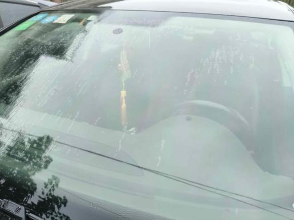 [宁波·浙B] 二手大众迈腾2015款 改款 1.8TSI 豪华型