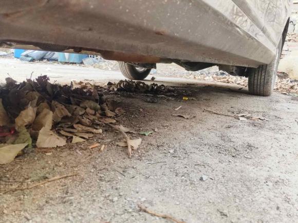 [济南·鲁A] 二手五菱汽车五菱宏光2021款 1.5L S标准型LAR