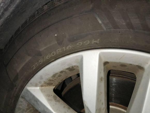 [温州·浙C] 二手大众迈腾2019款 280TSI DSG 舒适型 国V