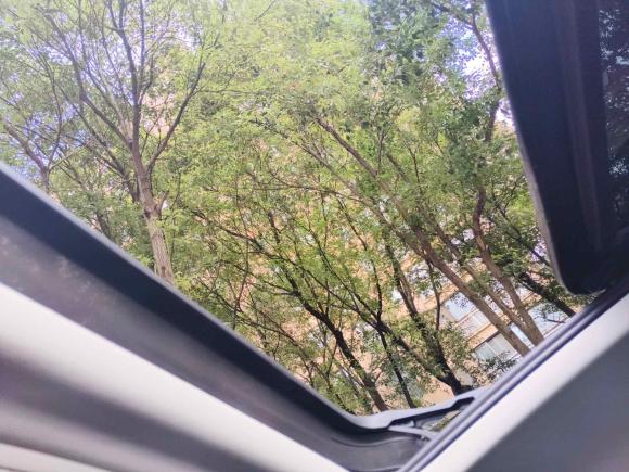 [上海·沪G] 二手大众途岳2021款 280TSI 两驱豪华版PLUS