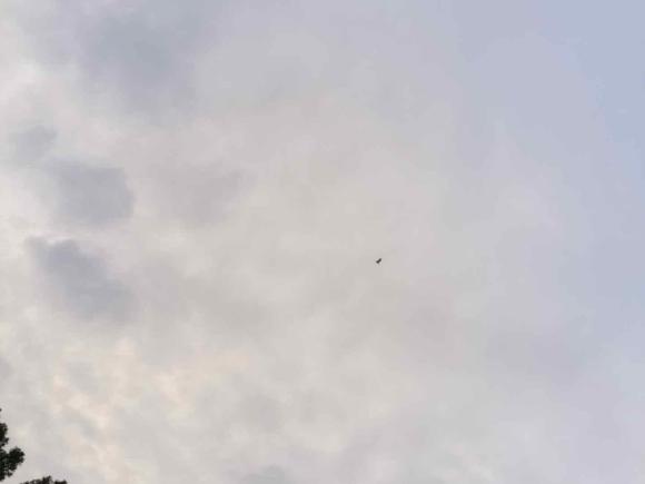 [上海·沪A] 二手凯迪拉克凯迪拉克SRX2015款 3.0L 领先型