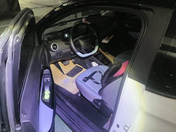 [杭州·浙A] 二手奇瑞新能源小蚂蚁2022款 甜粉款 半糖版 磷酸铁锂 30kW 301km