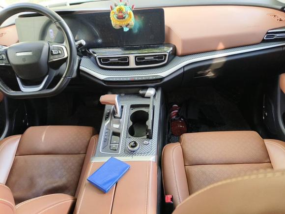 [上海·沪A] 二手奇瑞新能源大蚂蚁2020款 高能pro版