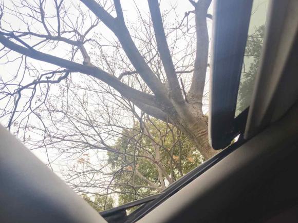 [湖州·浙E] 二手上汽大通MAXUS大通G102018款 PLUS 2.0T 自动精英版