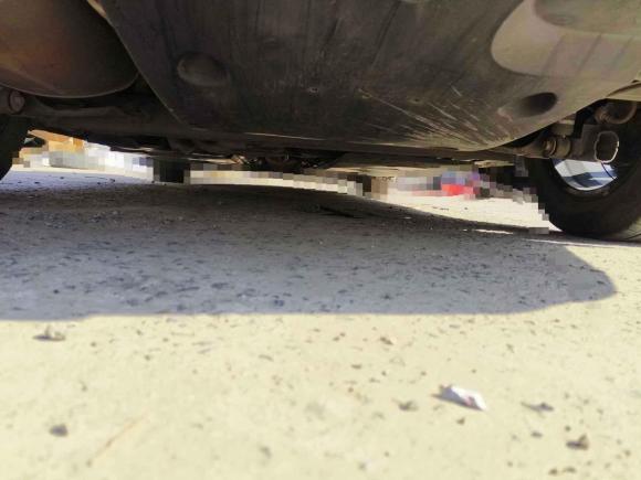 [合肥·赣B] 二手日产轩逸2020款 1.6L XL CVT悦享版