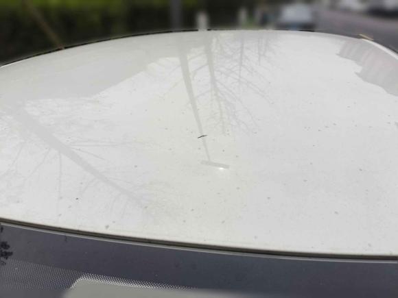 [嘉兴·鲁F] 二手大众桑塔纳2019款 1.5L 手动风尚版 国VI