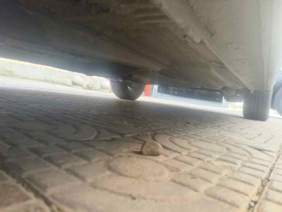 [杭州·浙A] 二手大众朗逸2017款 1.6L 自动风尚版