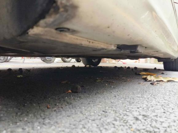 [佛山·粤E] 二手宝马宝马3系2004款 325i