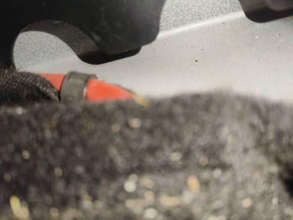 [西安·陕A] 二手比亚迪海豚2021款 401km 骑士版