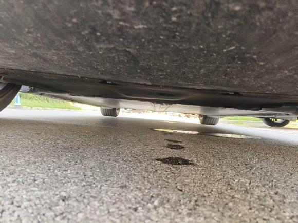[上海·沪A] 二手特斯拉Model 32020款 改款 长续航后轮驱动版