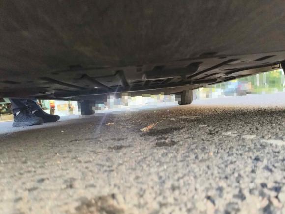 [青岛·鲁B] 二手比亚迪海豚2021款 405km 时尚版