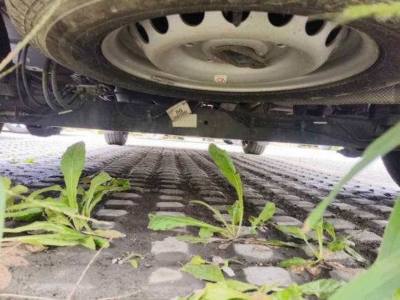 [苏州·苏E] 二手福特全顺2019款 2.0T汽油自动商旅型短轴低顶7座国VI