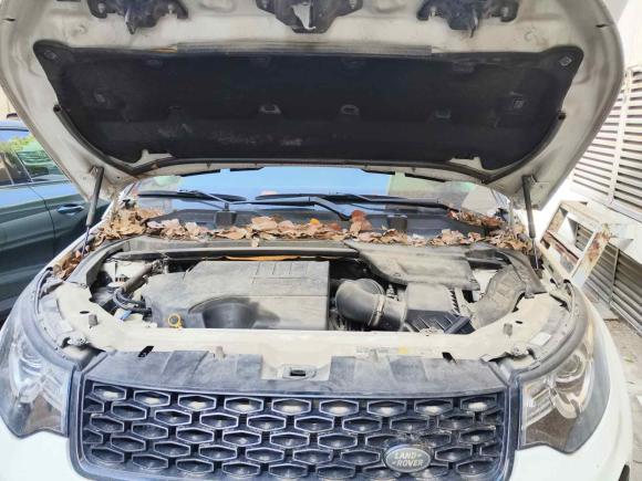 [上海·沪B] 二手路虎发现神行2019款 240PS SE Dynamic版 国VI