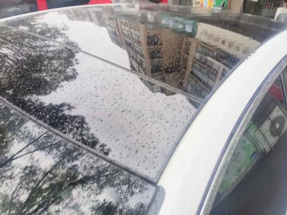 [嘉兴·浙F] 二手奥迪奥迪A6L2019款 45 TFSI 臻选动感型