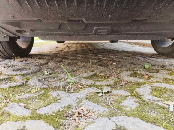 [上海·沪H] 二手荣威荣威RX5 MAX2022款 1.5T 自动有为尊贵版