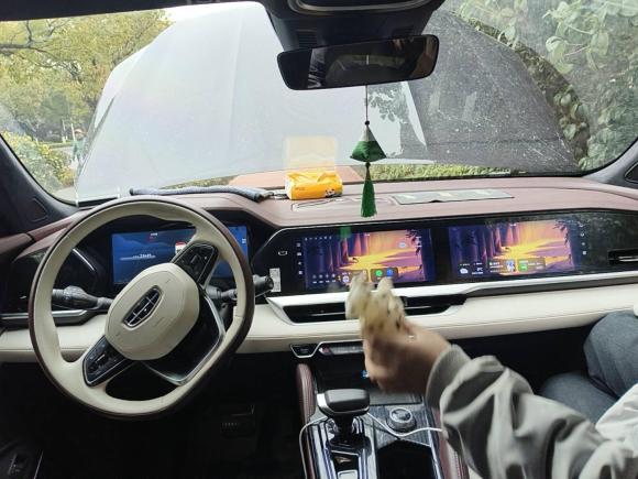 [苏州·苏U] 二手吉利汽车星越L2021款 2.0TD DCT EVO两驱尊贵型