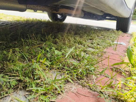 [青岛·鲁B] 二手起亚智跑2018款 2.0L 自动智享豪华版 国V