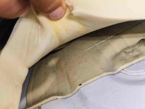 [西安·陕A] 二手福特福克斯2015款 两厢 1.6L 自动舒适型