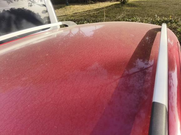 [常州·苏D] 二手北汽新能源北汽新能源EC52019款 新尚版