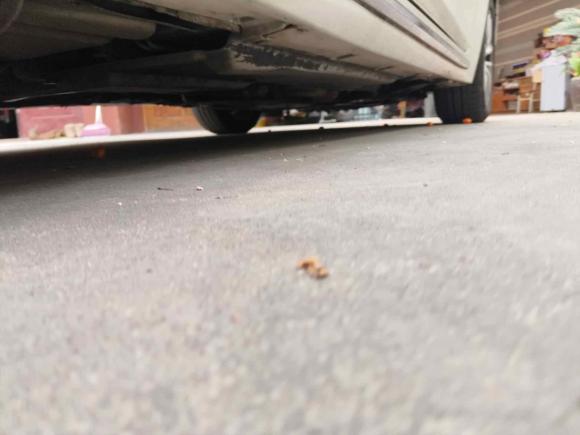 [嘉兴·浙F] 二手英菲尼迪英菲尼迪Q50L2016款 2.0T 悦享版