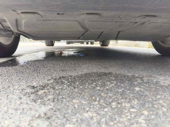 [佛山·粤X] 二手大众宝来2016款 1.6L 手动舒适型