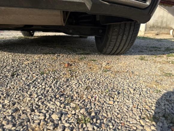 [杭州·皖D] 二手奥迪奥迪A32023款 改款 Sportback 35 TFSI 时尚运动型